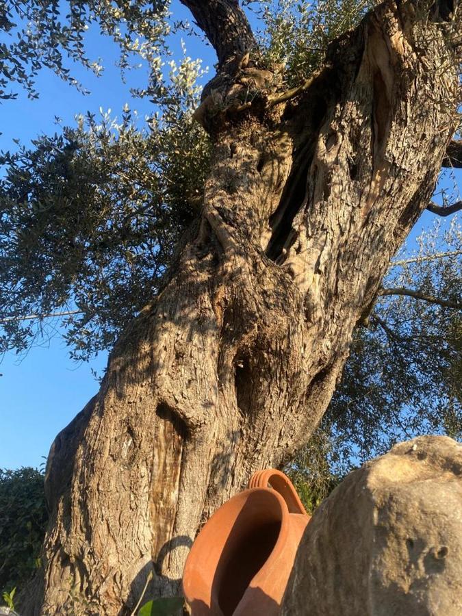 Residenza Nosy Be Villa Palombara Sabina Buitenkant foto